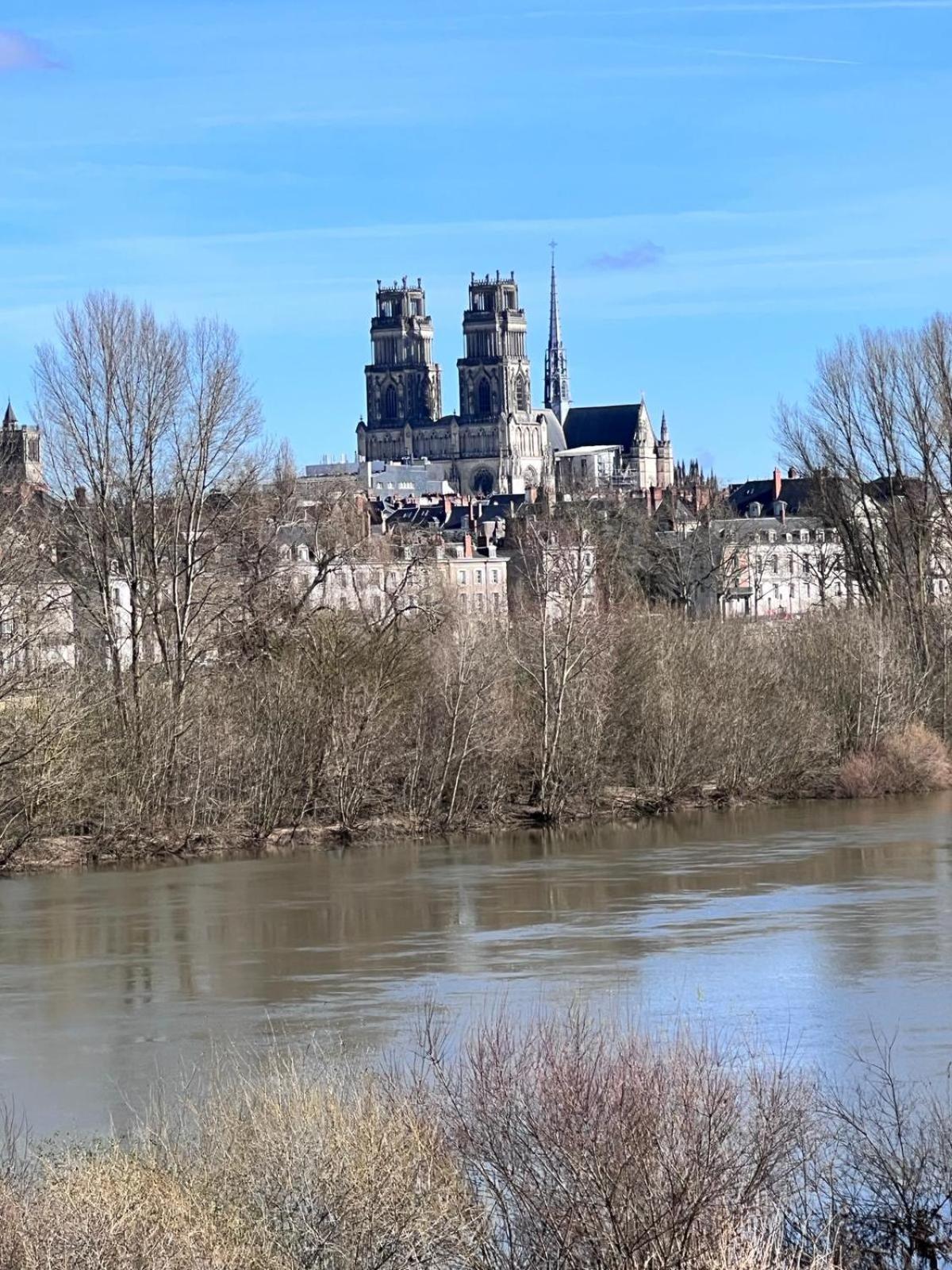 Appartement Au Duleing House Orléans Esterno foto