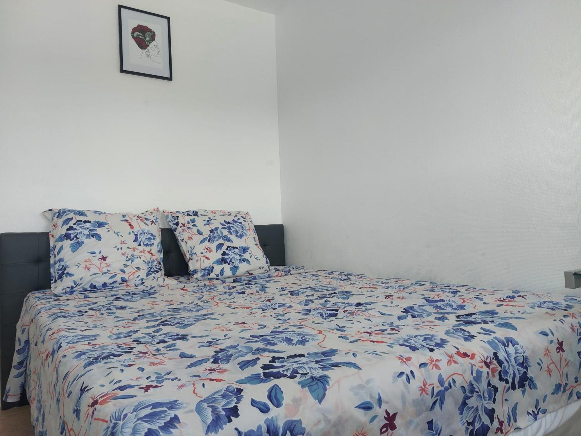 Appartement Au Duleing House Orléans Esterno foto